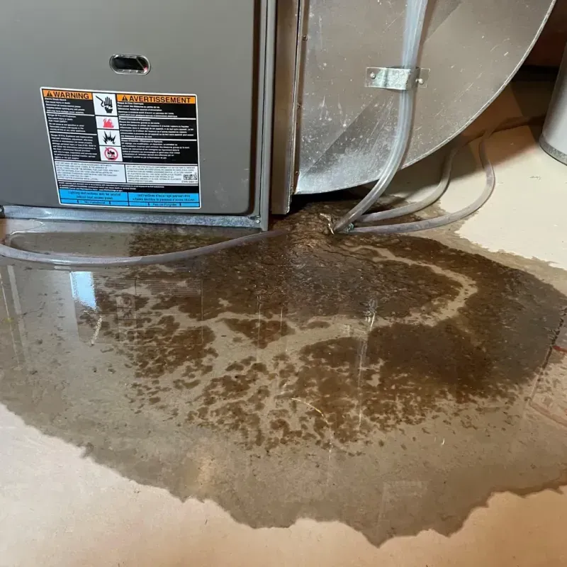 Appliance Leak Cleanup in Clifton, IL